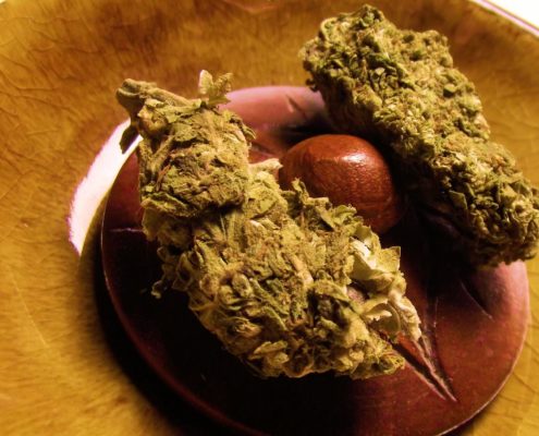 medical marijuana card