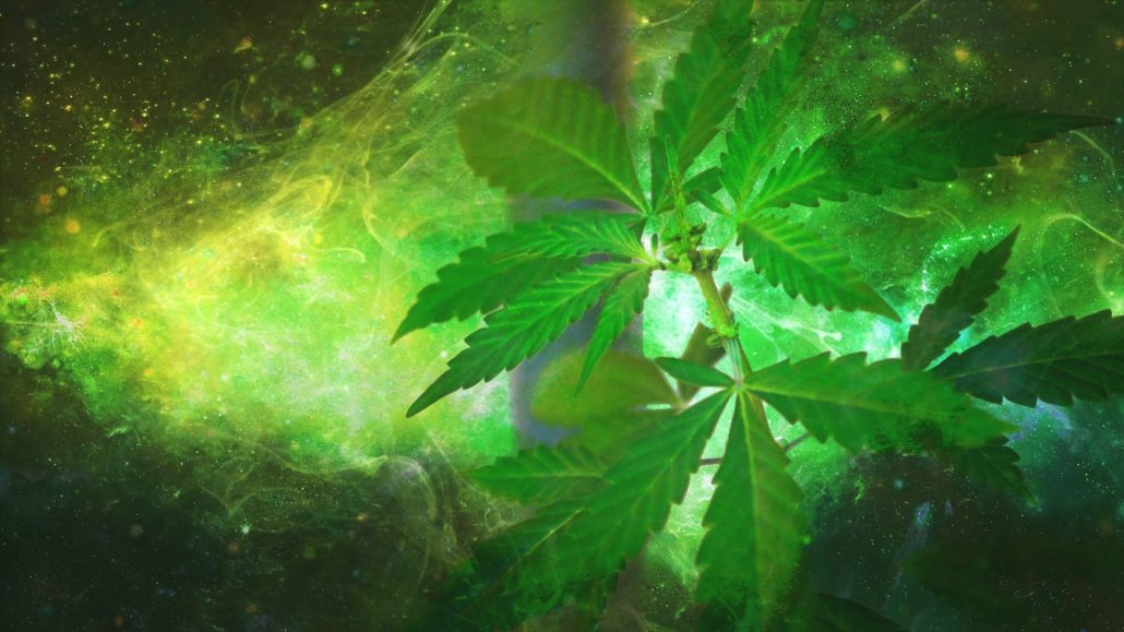 420 hookup montreal