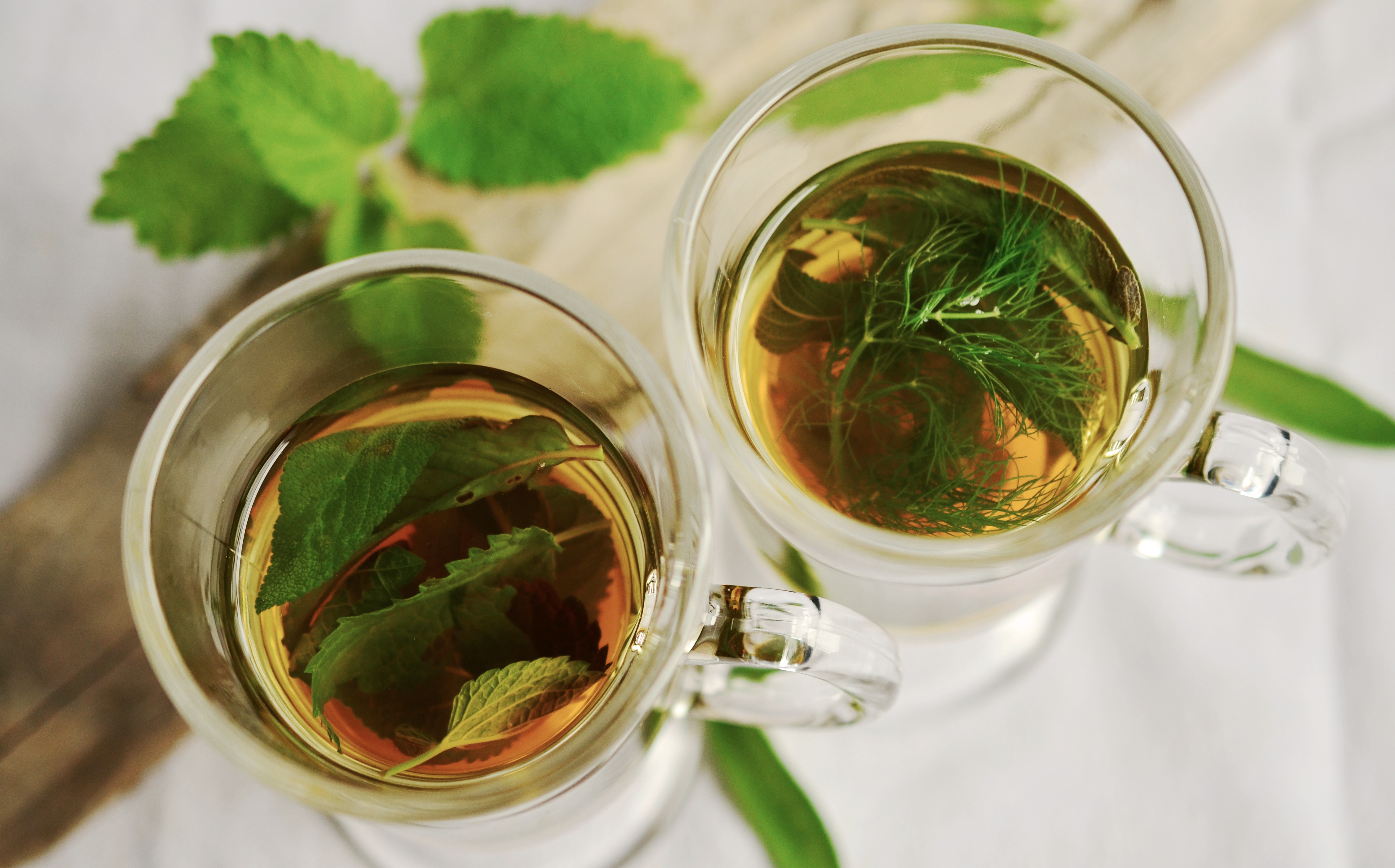 MMJ Recs - herbal tea