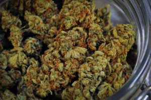 MMJ - Marijuana