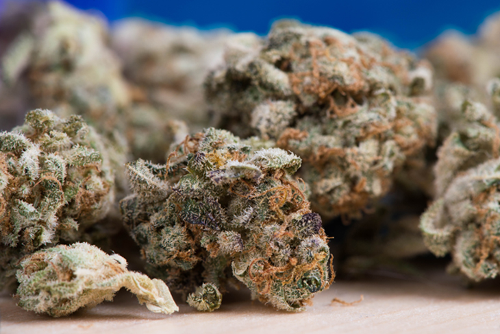 MMJ Recs - Cannabis Buds