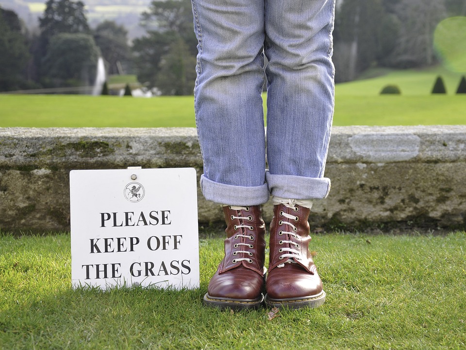 MMJ Recs - Keep Off Grass