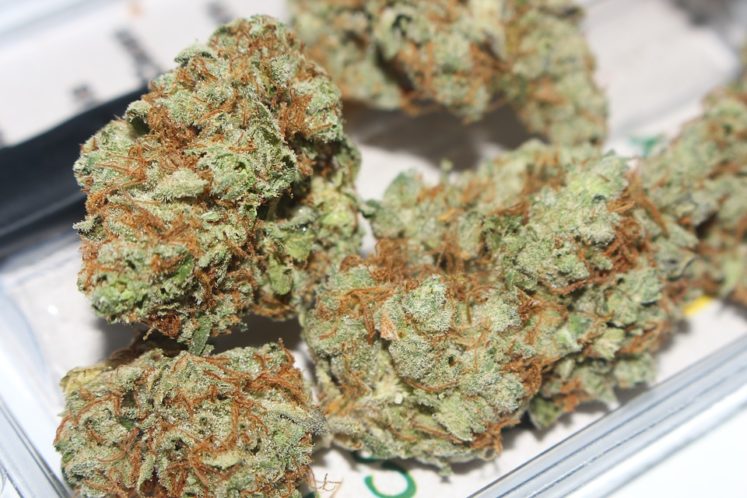 MMJ Recs - Hash