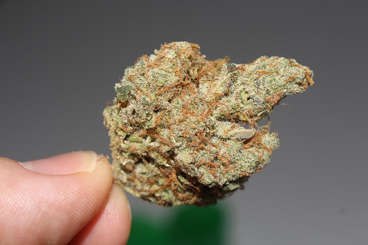 MMJ Recs - holding MMJ