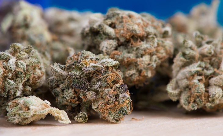 MMJ Recs - medical cannabis