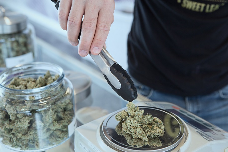 MMJ Recs - medical marijuana