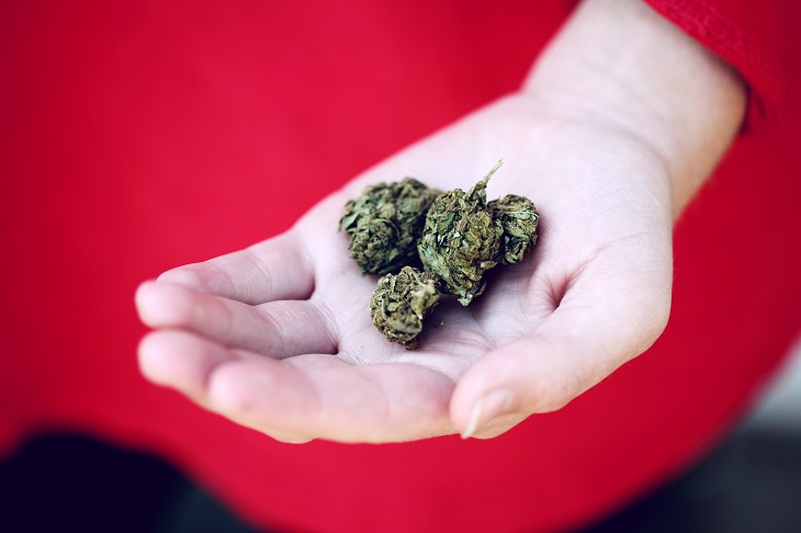 MMJ Recs - person holding marijuana