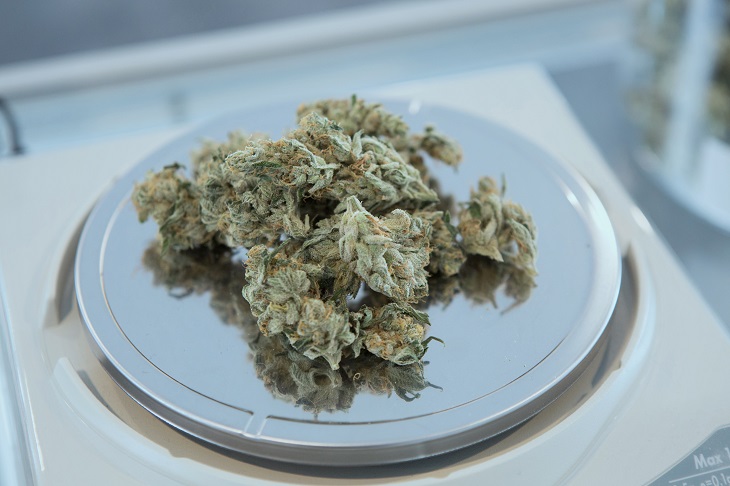 MMJ Recs - weighing MMJ