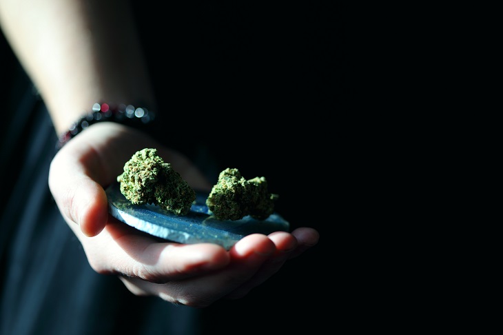 MMJRecs - mmj in hand