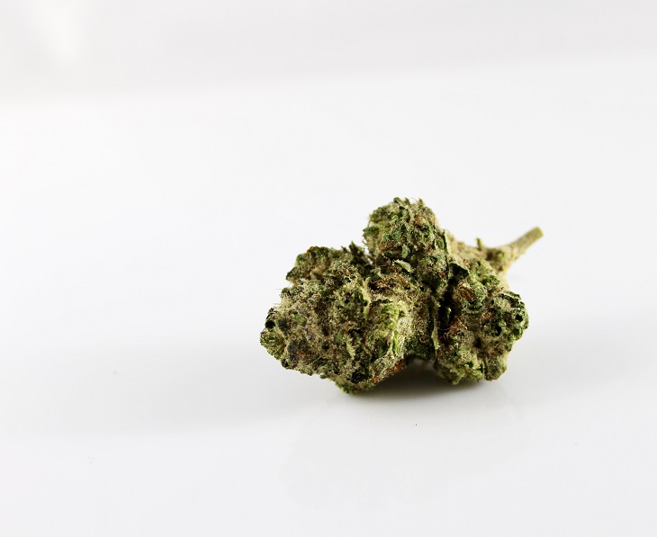 MMJRecs - MMJ bud