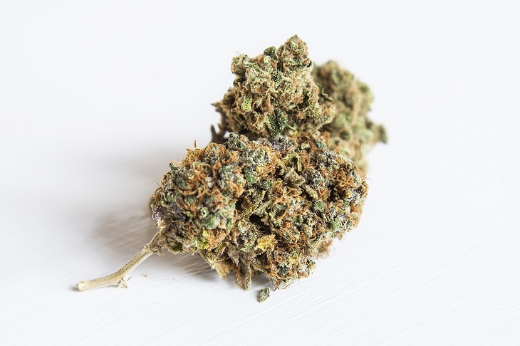 MMJRecs - marijuana bud