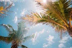 MMJRecs - Florida