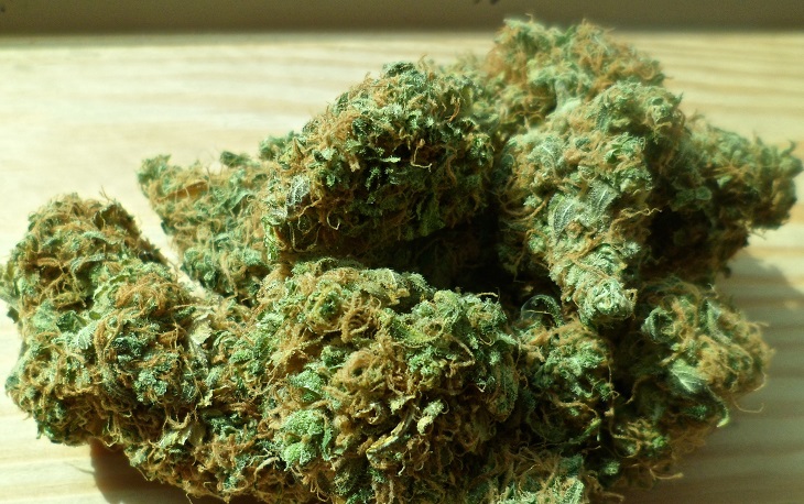 MMJ - medical cannabis