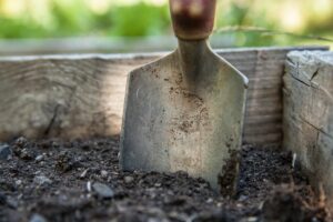 MMJ Recs - trough in soil