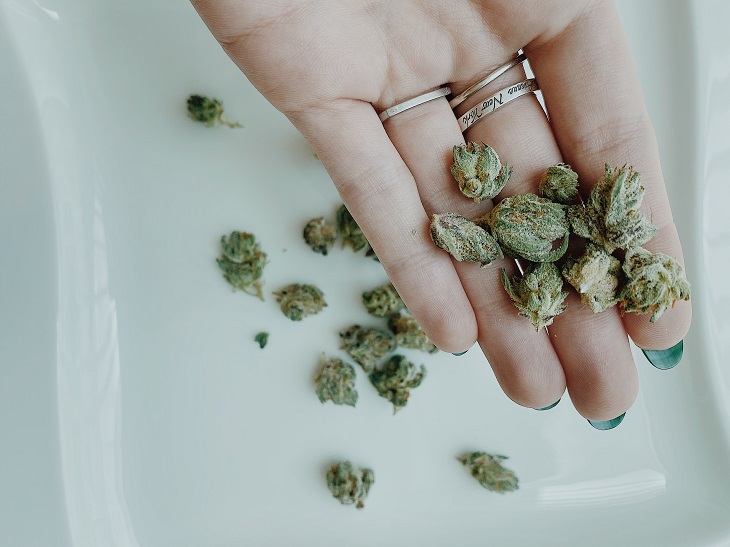 hand holding medical marijuana buds