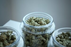 jars of medical marijuana product at dispensary