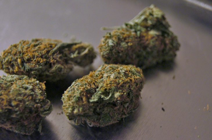 MMJRecs - Marijuana Buds