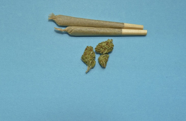 MMJ Recs - marijuana and joints