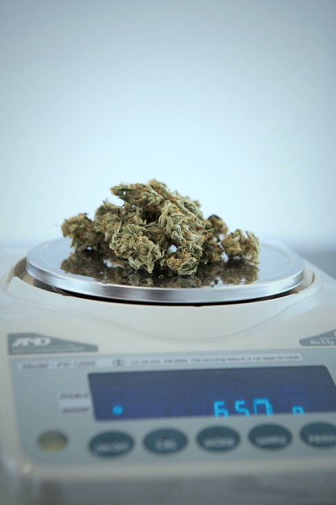 medical marijuana being measured on scale