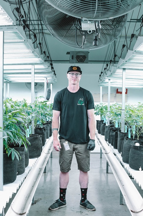 medical marijuana grower