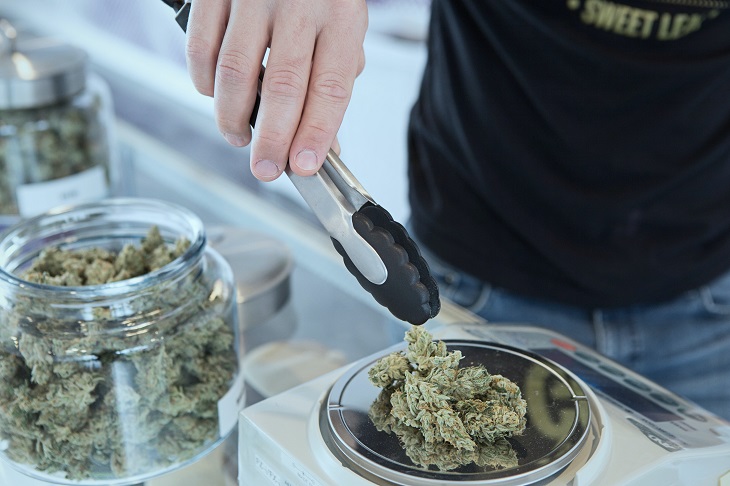 person weighing medical marijuana at dispensary