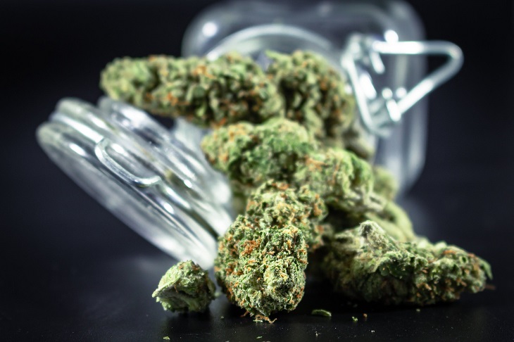 medical cannabis in jar