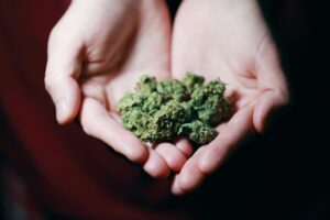 person holding medical marijuana