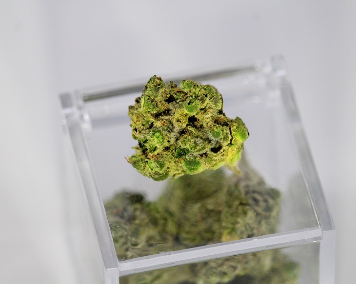 medical cannabis bud