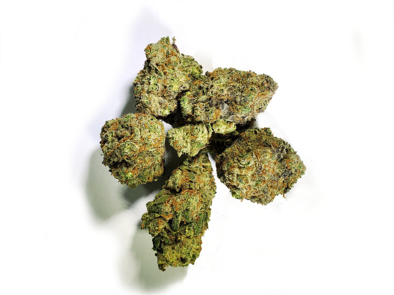 Benefits of hybrid cannabis strains
