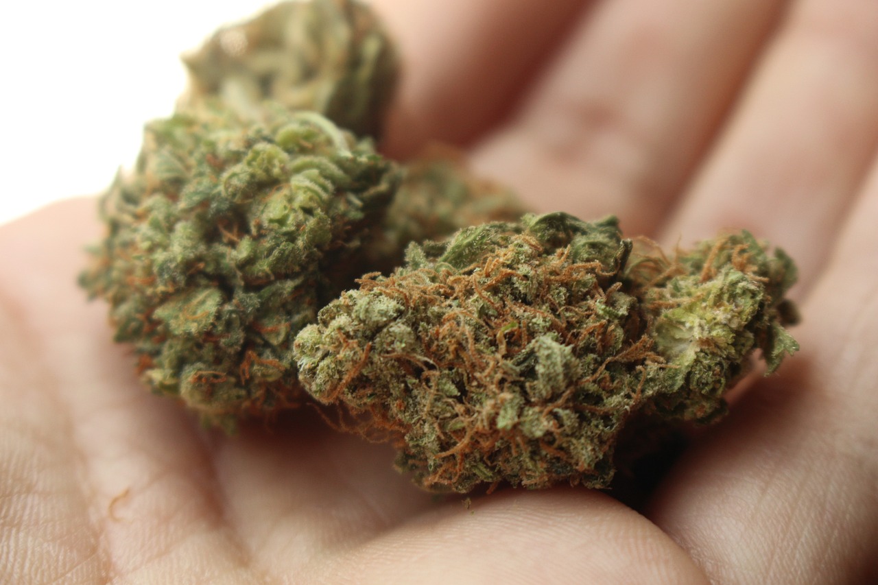 Best medical marijuana strains for beginners in California